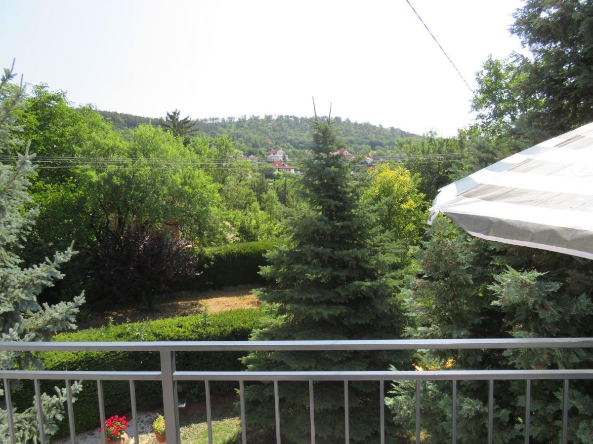 Art Inn Apartmanhaz Balaton-Gyenesdiás エクステリア 写真